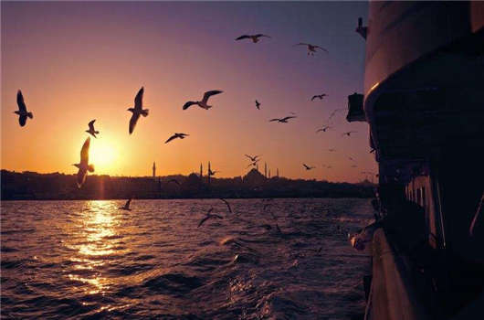 土耳其投资移民备受欢迎，主要是能够满足您的需求！