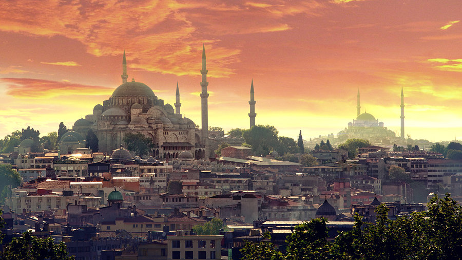 1732504597889337.jpg 11.21...jpg