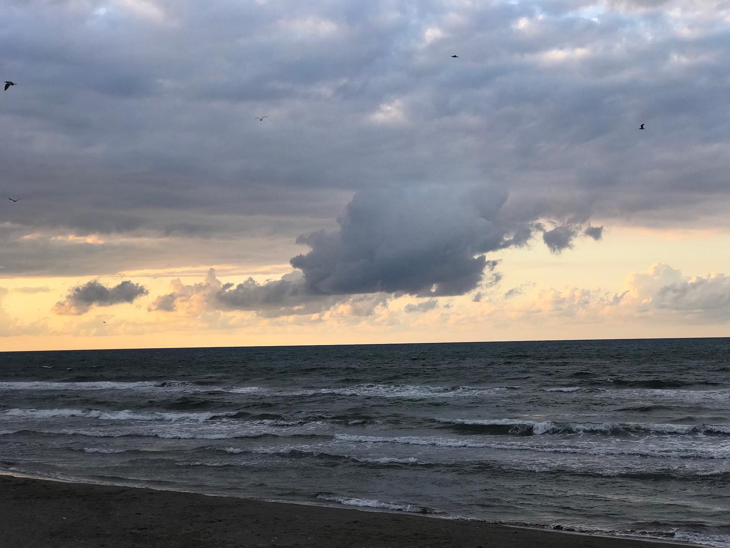 viewphotos.__1596220840_2365594321758261517_39469623000_1.jpg